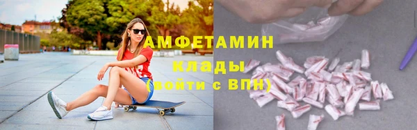 шишки Михайловск