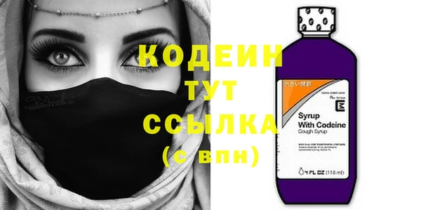 шишки Михайловск