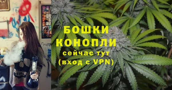 шишки Михайловск