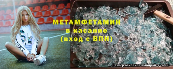 шишки Михайловск