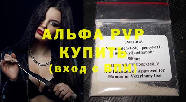шишки Михайловск