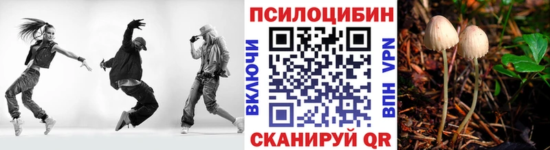 Галлюциногенные грибы Magic Shrooms  Починок 
